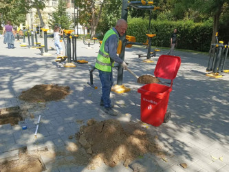 Nəsimi rayonu Vaqif  prospektində yerləşən parkda cari təmir işləri aparılıb.