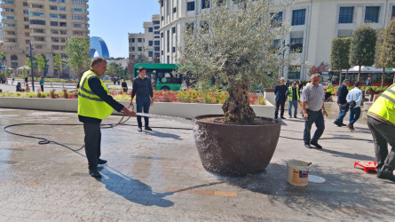 Nəsimi rayonunda növbəti iməcilik keçirilib