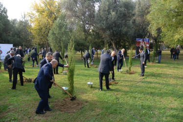 Nəsimi rayonunda Zəfər Günü münasibəti ilə ağacəkmə aksiyası keçirilib.