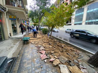 Azadlıq prospekti boyunca piyada səkilərdə təmir və bərpa işləri aparılıb.