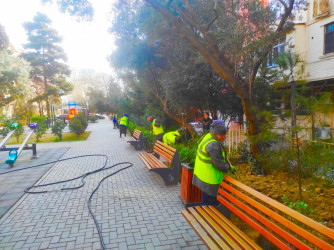 Nəsimi rayonunda Novruz bayramı ərəfəsində ümumrayon iməciliyi keçirilib.