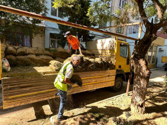 Parklarda, abad həyətlərdə yeni yaşıllıq zolaqları yaradılıb.