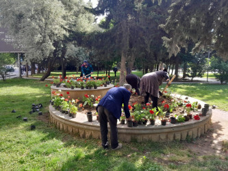 Ümummilli Lider Heydər Əliyevin anadan olmasının 101 illiyi ilə əlaqədar,  “Yaşıl dünya naminə həmrəylik ili” çərçivəsində ağacəkmə aksiyası keçirilib