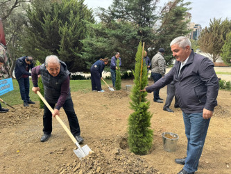 Nəsimi rayonunda Anım Günü ərəfəsində ağacəkmə aksiyası keçirilib.