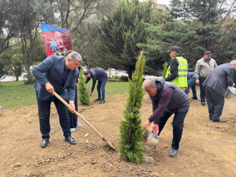 Nəsimi rayonunda Anım Günü ərəfəsində ağacəkmə aksiyası keçirilib.