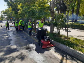 Rayonda keçirilən iməcilikdə heykəllər və abidələrin ətrafında təmizlik işləri aparıldı.