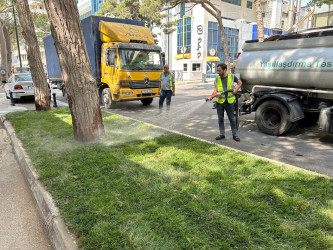 Rayonun Zərifə Əliyeva küçəsi boyu yaşıllıq zolaqlarına qulluq göstərilmiş və mövsümi güllər əkilmişdir.