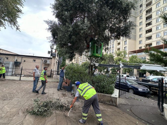 Nəsimi rayonu Xətai prospekti 30 saylı ünvanda yerləşən bağda abadlıq işləri aparılıb.