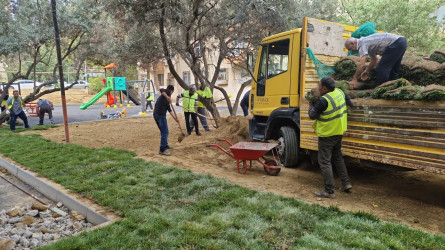 Nəsimi rayonunda növbəti iməcilik keçirilib