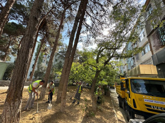 Cavadxan küçəsi 26,30 saylı ünvanlarında aparılan abadlıq-quruculuq işləri davam edir.