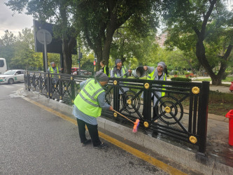 Nəsimi rayonunda növbəti iməcilik keçirilib