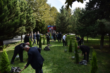 Nəsimi rayonunda 27 sentyabr - Anım günü münasibətilə ağacəkmə aksiyası keçirilib