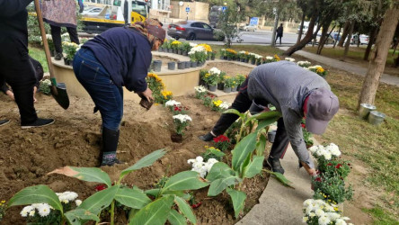 Nəsimi rayonunda Zəfər Günü münasibəti ilə ağacəkmə aksiyası keçirilib.