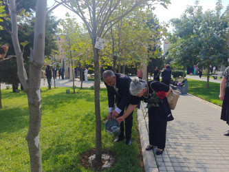 Nəsimi rayonunda Anım Günü ilə bağlı silsilə tədbirlər keçirilib.