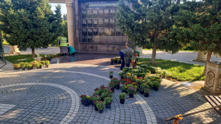 Nəsimi rayonunda yerləşən Zəfər bağında başlanılmış təmir işləri yekunlaşmışdır.