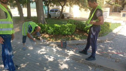 Bakıxanov küçəsi Sevil Qazıyeva parkında cari təmir işləri aparılıb.