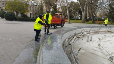 Nəsimi rayonunda yaz-yay mövsümünə hazırlıq çərçivəsində iməcilik keçirilib.