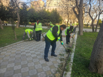 Nəsimi rayonunda növbəti iməcilik keçirilib