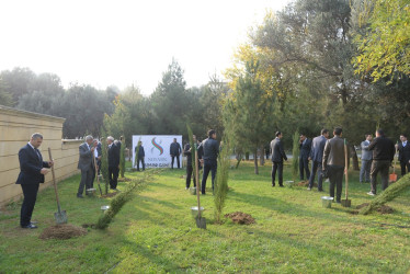 Nəsimi rayonunda Zəfər Günü münasibəti ilə ağacəkmə aksiyası keçirilib.