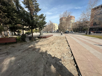 Nəsimi rayonunda Taras Şevçenkonun heykəlinin yerləşdiyi parkda cari təmir işləri aparılır.