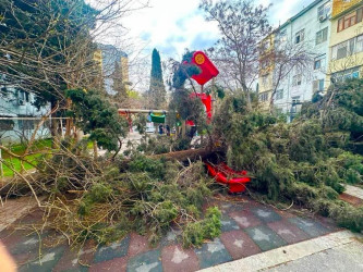 Nəsimi rayonunda növbəti iməcilik keçirilib