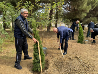 Nəsimi rayonunda Anım Günü ərəfəsində ağacəkmə aksiyası keçirilib.