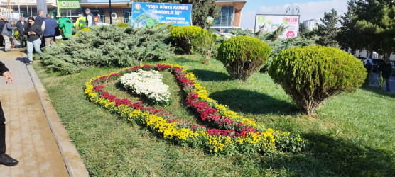 Nəsimi rayonunda “Yaşıl dünya naminə həmrəylik ili” çərçivəsində  növbəti tədbir keçirilib.