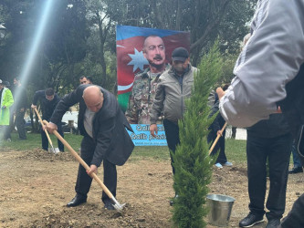 Nəsimi rayonunda Anım Günü ərəfəsində ağacəkmə aksiyası keçirilib.