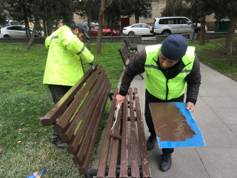 Bakıxanov küçəsi boyu parkda və səkilərdə cari təmir işləri aparılır