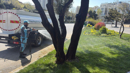 Nəsimi rayonunda növbəti ümumrayon iməciliyi keçirilib.