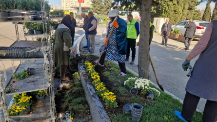 Nəsimi rayonunda “Yaşıl dünya naminə həmrəylik ili” çərçivəsində  növbəti tədbir keçirilib.