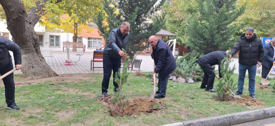 Nəsimi rayonunda “Yaşıl dünya naminə həmrəylik ili” çərçivəsində növbəti ağacəkmə aksiyası keçirilib.