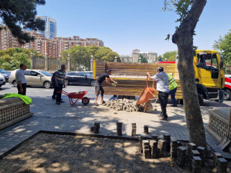 Rayon ərazisində parklarda  və yol kənarındakı istinad divarlarında cari təmir işləri aparılıb.