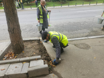 Nəsimi rayonunda növbəti iməcilik keçirilib
