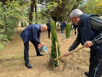Nəsimi rayonunda Anım Günü ərəfəsində ağacəkmə aksiyası keçirilib.