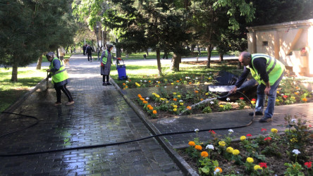 Nəsimi rayonunda növbəti iməcilik keçirilib