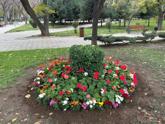 Nəsimi rayonunda başlanılmış abadlıq və təmir-bərpa işləri davam etdirilir.