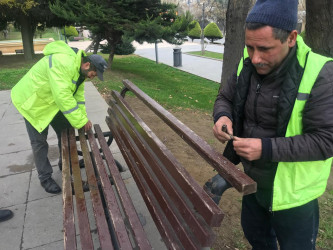 Bakıxanov küçəsi boyu parkda və səkilərdə cari təmir işləri aparılır