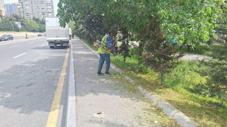 Nəsimi rayonunda abadlıq və cari təmir işləri davam etdirilir.