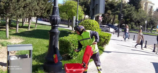 Nəsimi rayonunda növbəti iməcilik keçirildi.