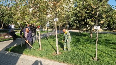 Nəsimi rayonunda yerləşən Zəfər bağında başlanılmış təmir işləri yekunlaşmışdır.