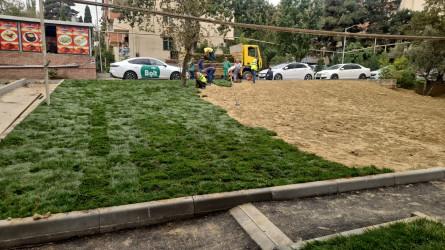 Nəsimi rayonunda növbəti iməcilik keçirilib