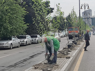 Rayonda “Yaşıl dünya naminə həmrəylik ili” çərçivəsində ağacəkmə aksiyası keçirilib.