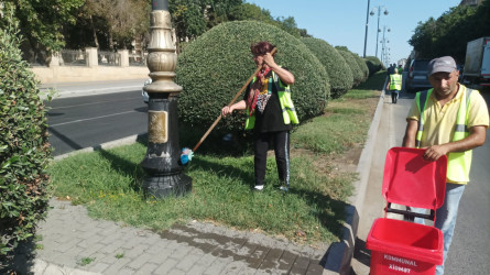 Nəsimi rayonunda iməcilik keçirildi