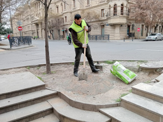 Bakıxanov küçəsi boyu parkda və səkilərdə cari təmir işləri aparılır