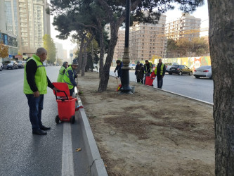 Nəsimi rayonunda iməcilik keçirilib.