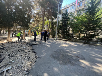 Nəsimi rayonu 3-cü mikrorayon Cavadxan küçəsi  26,30 saylı ünvanlarda abadlıq-quruculuq işlərinə başlanılıb.