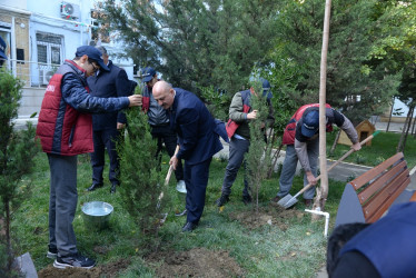 Nəsimi rayonunda növbəti “Abad həyət” sakinlərin istifadəsinə verilib.