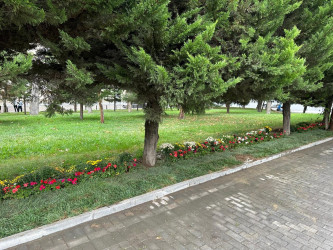 Zorge parkında cari təmir işləri aparılıb.