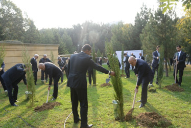 Nəsimi rayonunda Zəfər Günü münasibəti ilə ağacəkmə aksiyası keçirilib.